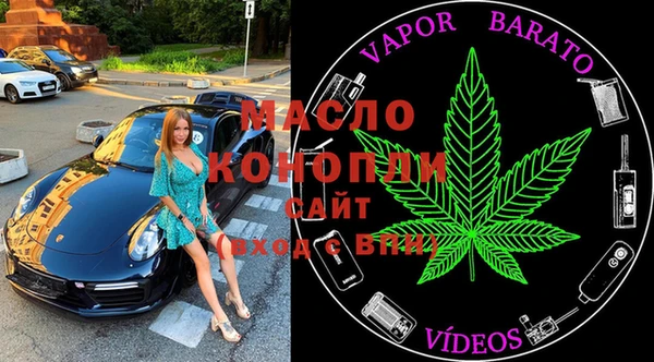 молекула духа Краснослободск