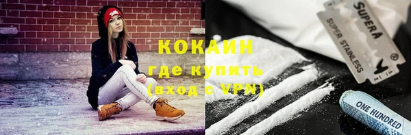молекула духа Краснослободск