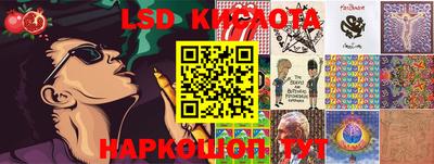 дмт Кингисепп