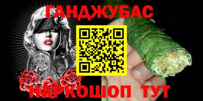 дмт Кингисепп