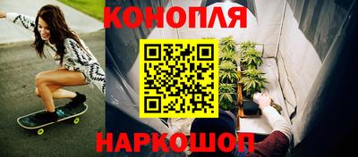 дмт Кингисепп