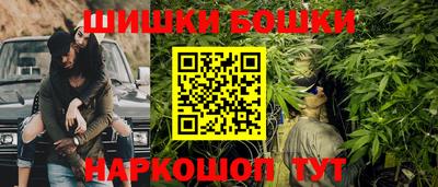 дмт Кингисепп