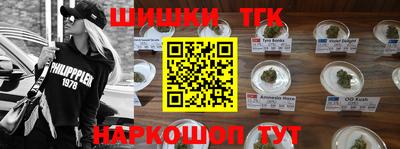 дмт Кингисепп