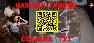 дмт Кингисепп