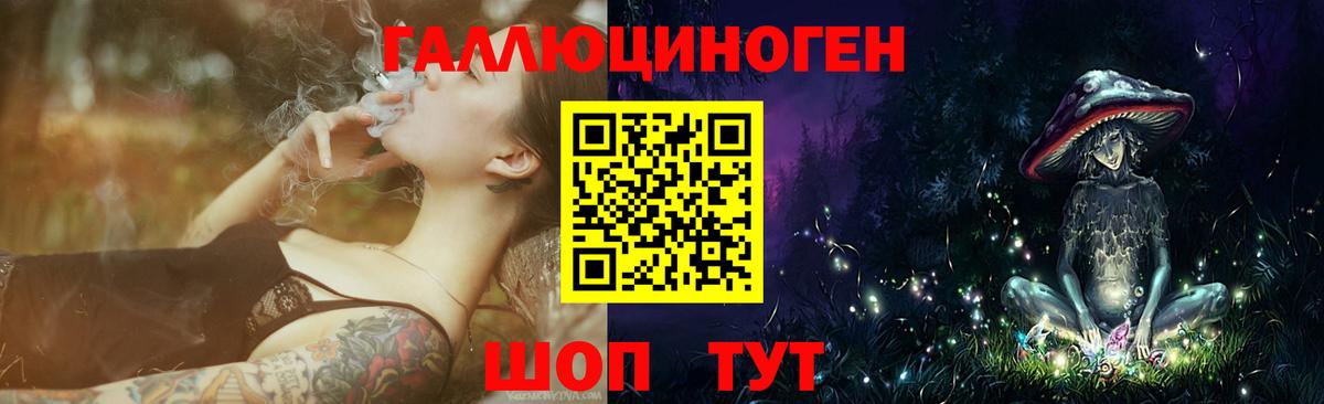 Псилоцибиновые грибы GOLDEN TEACHER  Галлюциногенные грибы Psilocybine cubensis  Вход с VPN  Минеральные Воды 